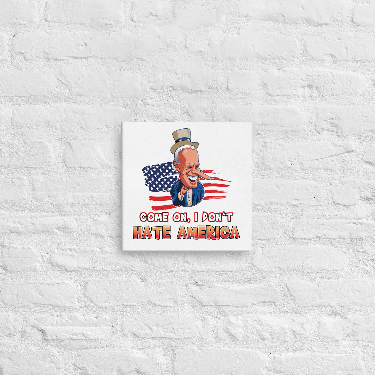 COME ON I DON'T HATE AMERICA Canvas