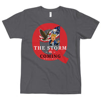 Thumbnail for THE STORM IS COMING T-Shirt