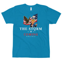 Thumbnail for THE STORM IS COMING T-Shirt