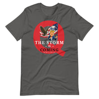 Thumbnail for THE STORM IS COMING Unisex t-shirt